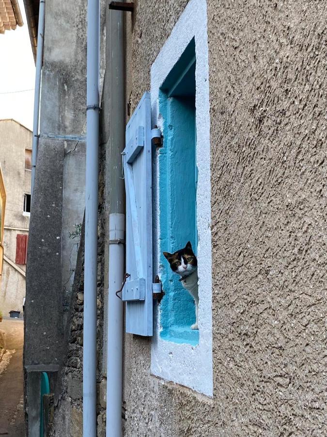 La Vannière Le Poujol-sur-Orb Extérieur photo